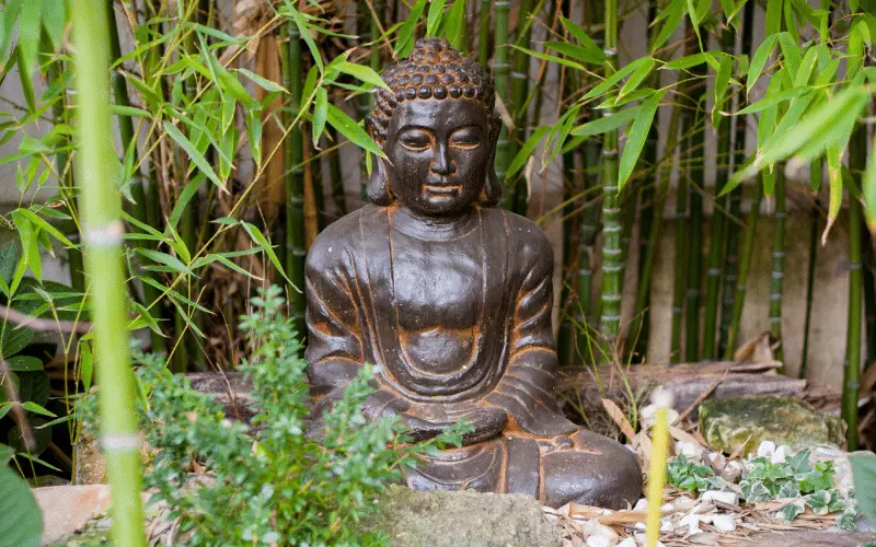 Lời Phật dạy về khẩu nghiệp chính xác nghe mà thấm (3)