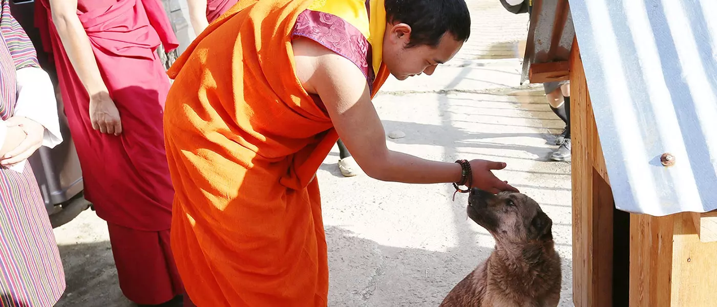 Phật Đỉnh Tôn Thắng Đà Ra Ni