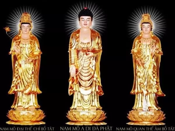 Phân biệt sự khác nhau giữa tượng Phật thích ca với tượng a di đà