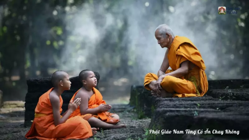 Phật Giáo Nam Tông Có Ăn Chay Không
