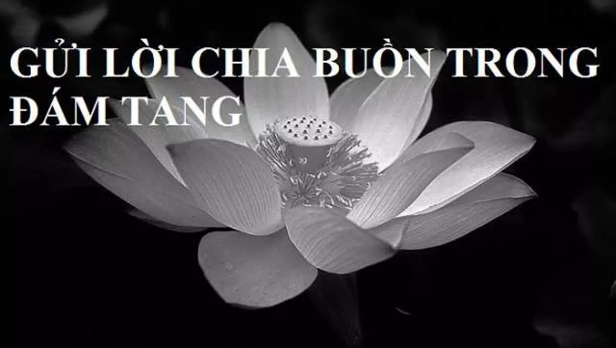 Các lưu ý khi gửi lời chia buồn đám tang