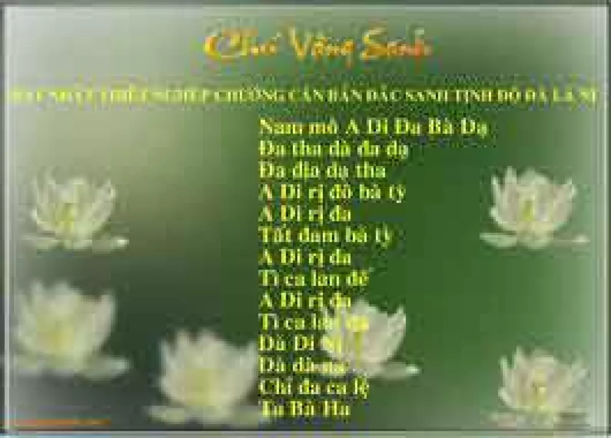 chu vang sanh