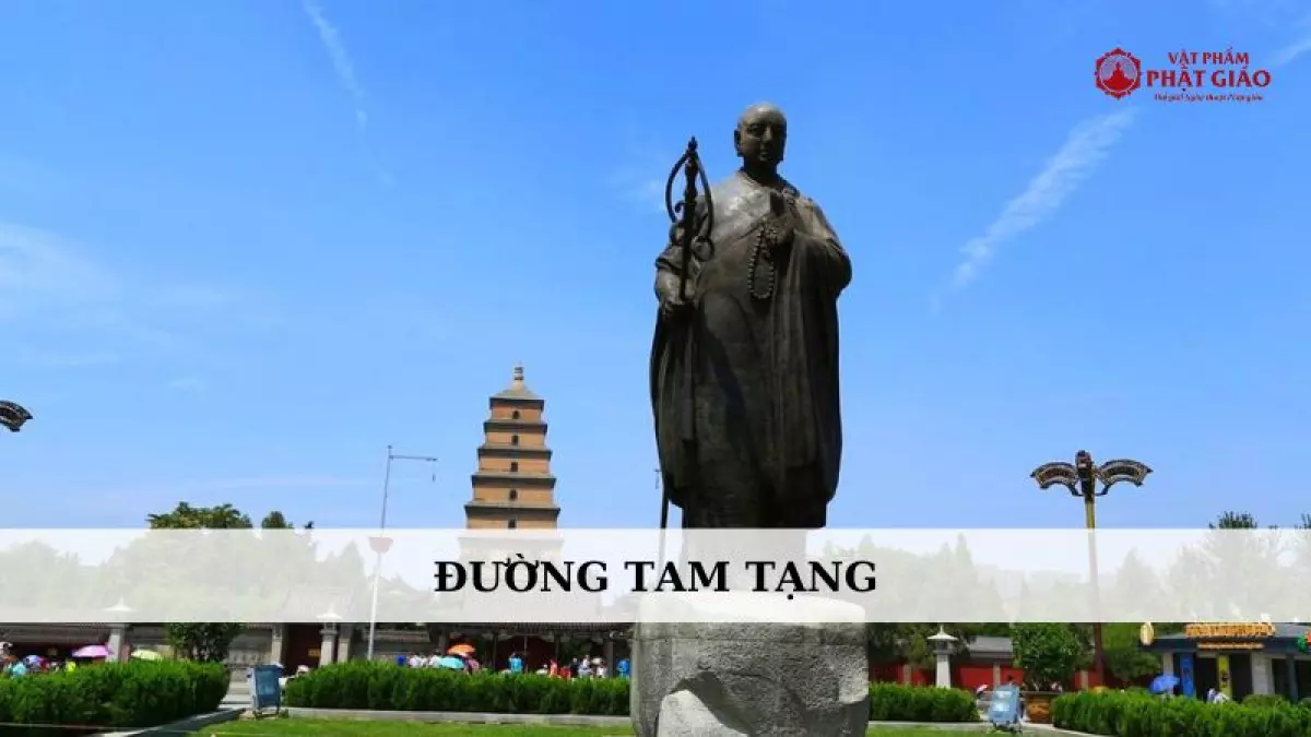 duong tam tang