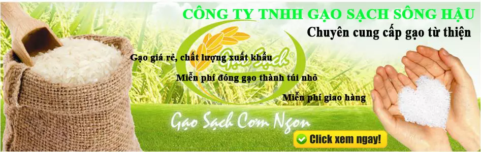 Chuyên cung cấp gạo từ thiện