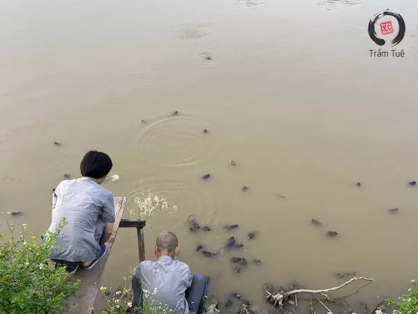 bài văn tụng lễ phóng sinh tại nhà cơ quan văn phòng