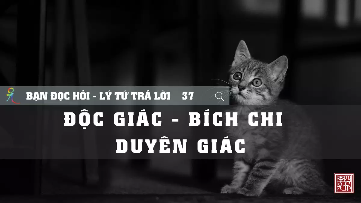 Độc Giác - Bích Chi - Duyên Giác | Lý Tứ