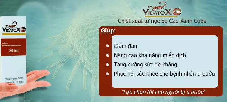 Thiền Viện Trúc Lâm Viên Ngộ - An nhiên giữa lòng Ninh Thuận