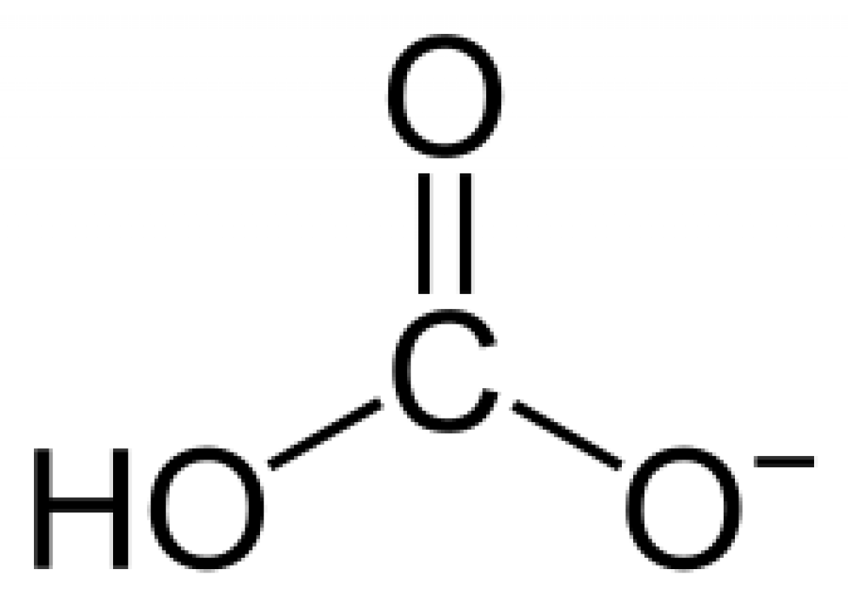 Strukturformel des Hydrogencarbonat-Ions