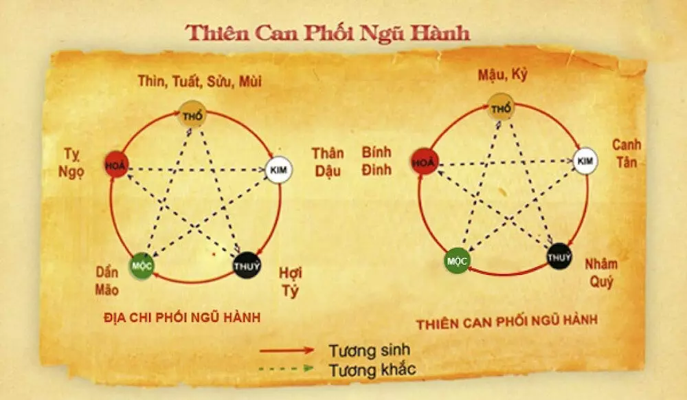 Mối quan hệ của địa chi trong phong thủy ngũ hành