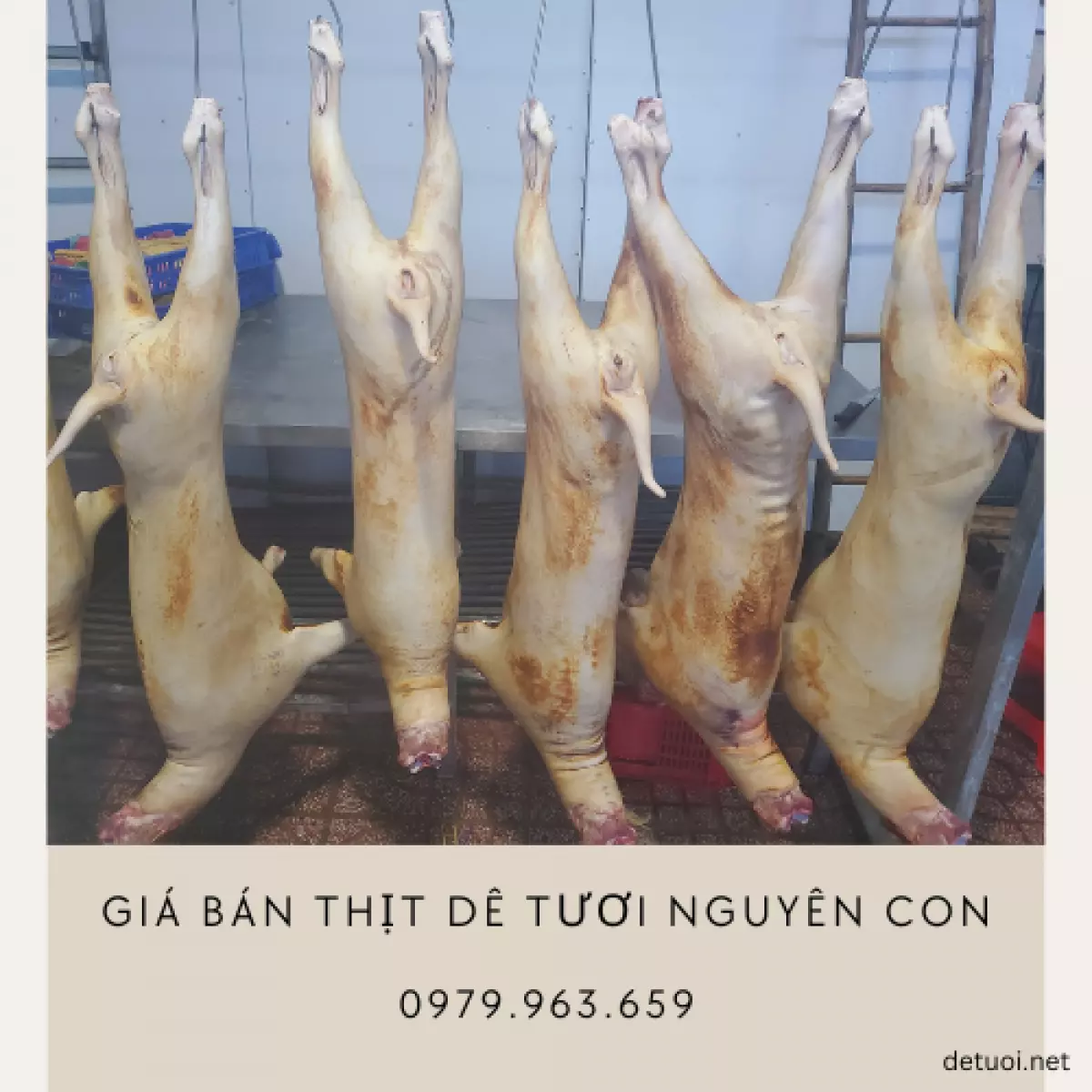 Giá bán thịt dê tươi nguyên con