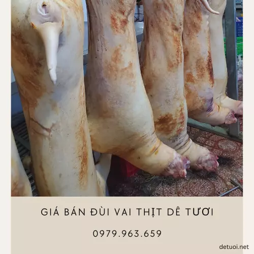 Giá bán đùi vai thịt dê tươi