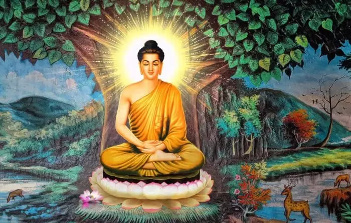 Hành thiền chứng được hỷ lạc do ly dục sinh là thoát được dục lạc, kinh nghiệm này của Đức Phật đã mở ra một đường hướng để giải quyết vấn đề dục lạc này.