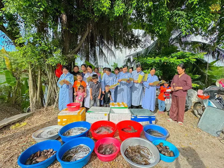 Các Phật tử cùng nhau phóng sinh cứu vật