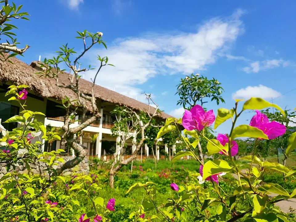 An-Lac-Eco-Farm-Hot-Spring-2