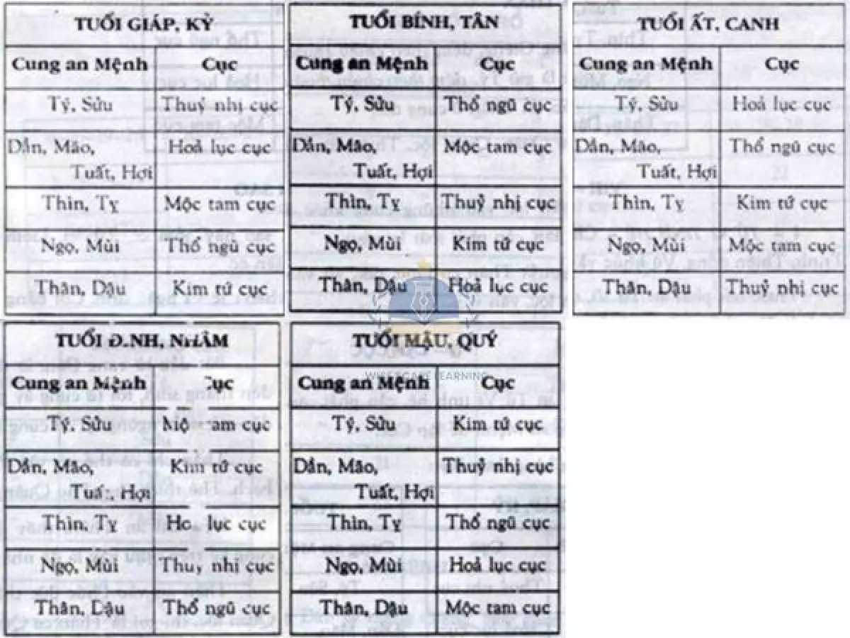 Mộc Tam Cục - Khám phá ý nghĩa và cách áp dụng trong cuộc sống | Wisescape Learning