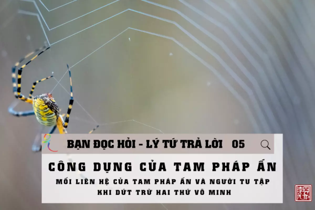 Tam Pháp Ấn | Lý Tứ