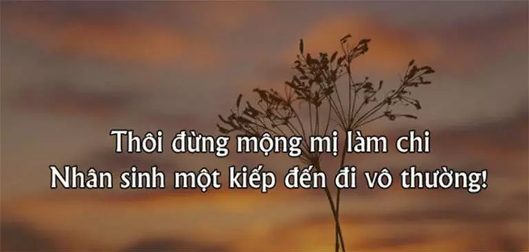 Sinh lão bệnh tử - Cuộc đời là vô thường