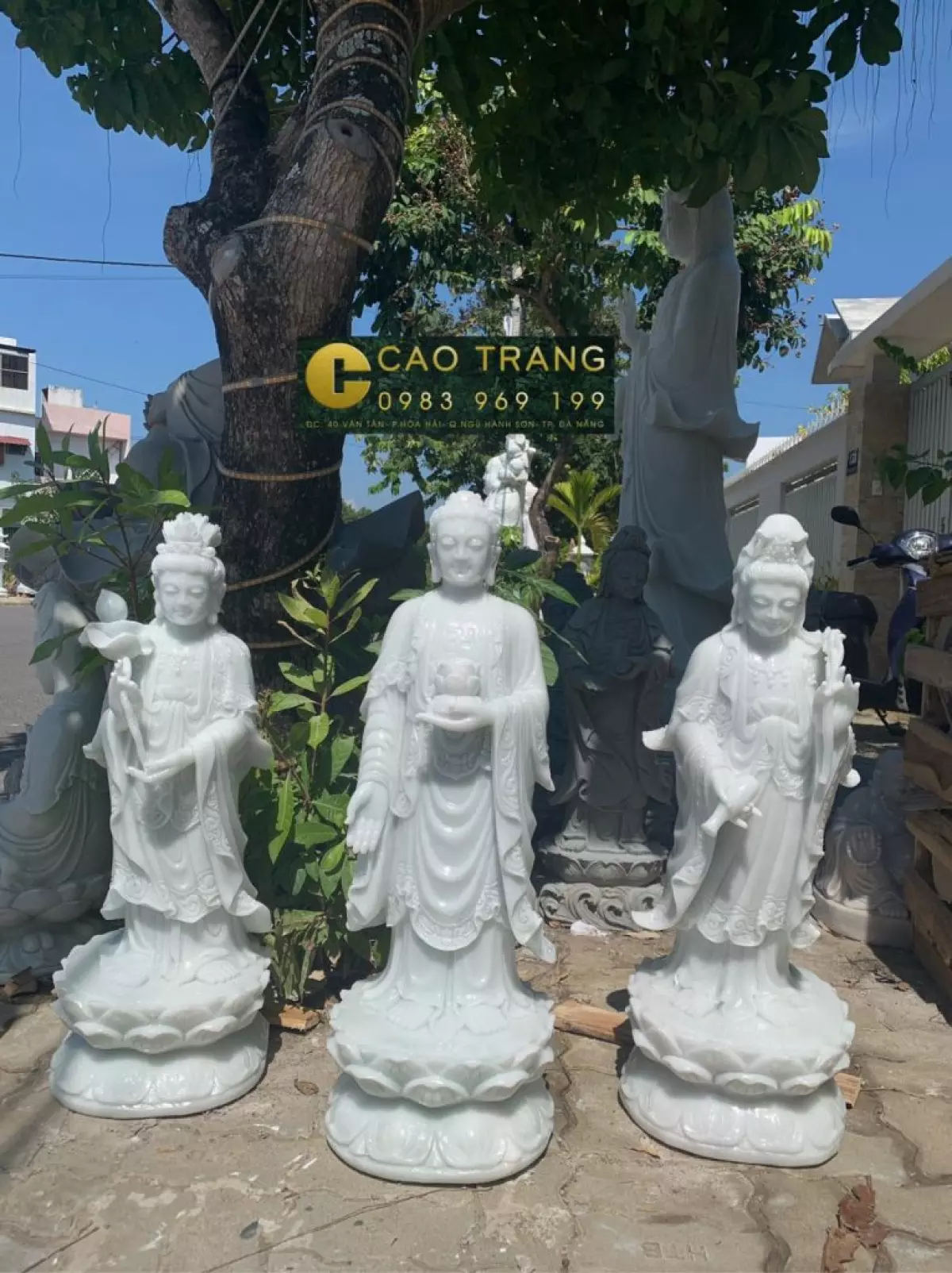 thỉnh tượng Tam Thế Phật