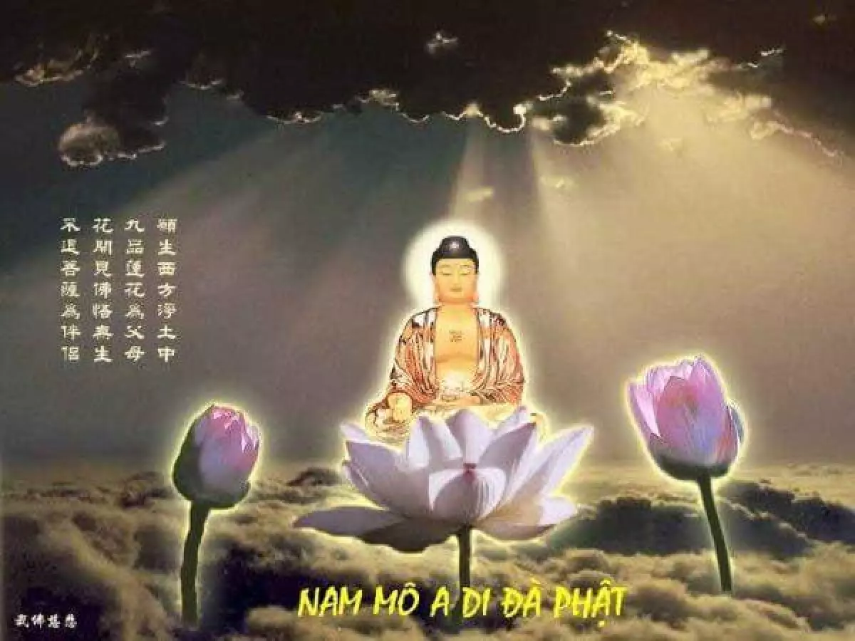 việt nam mô a di đà phật