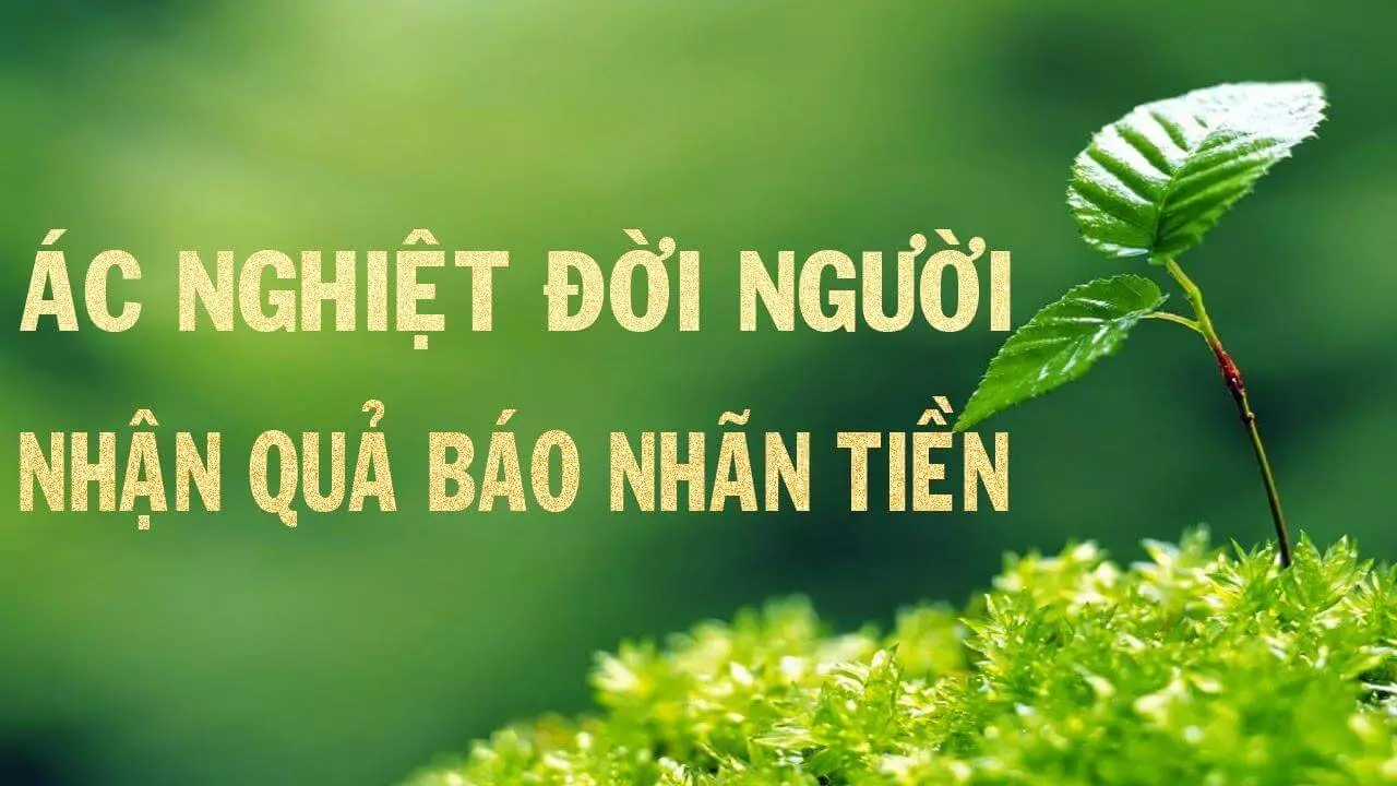 Những trường hợp của quả báo nhãn tiền