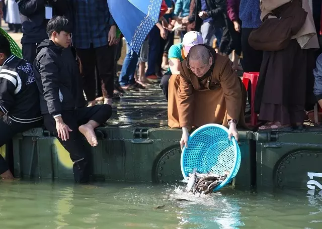 Hoạt động phóng sinh ở chùa Viên Quang Nghệ An