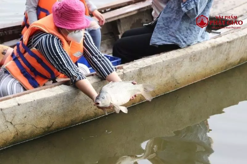 bieu hien cua nguoi chet khong sieu thoat