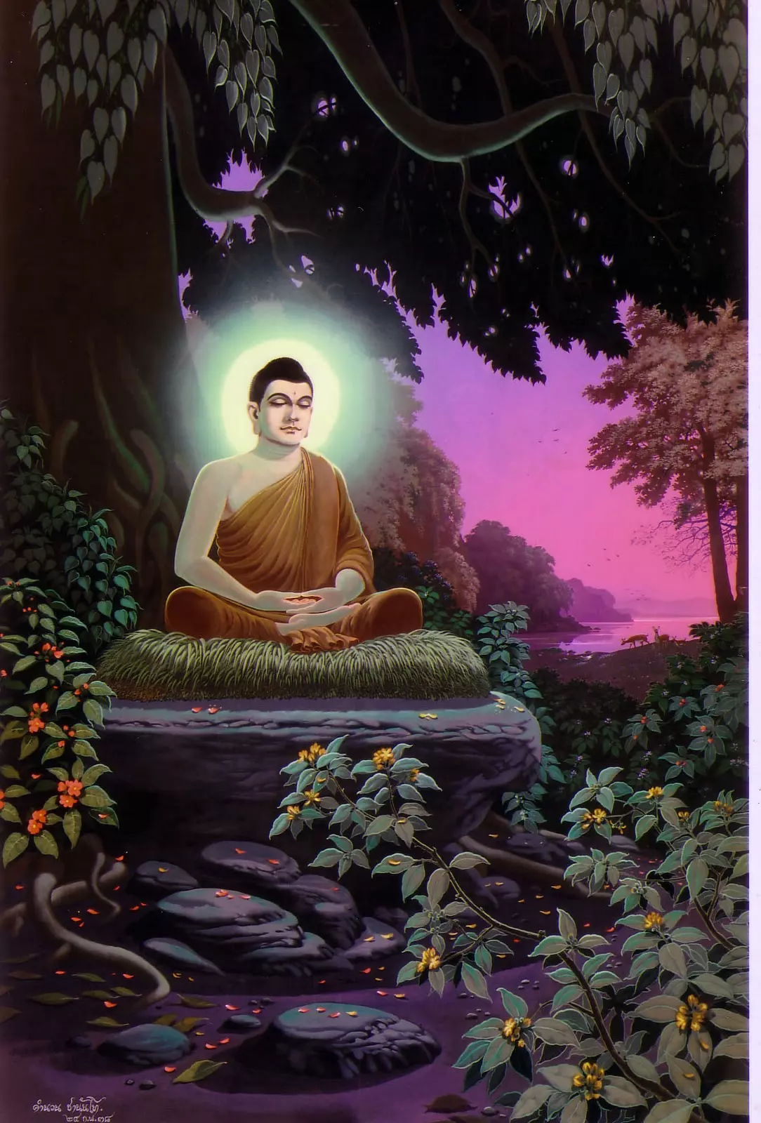 50+ Bức ảnh tuyệt vời về Đức Phật Thích Ca Mâu Ni