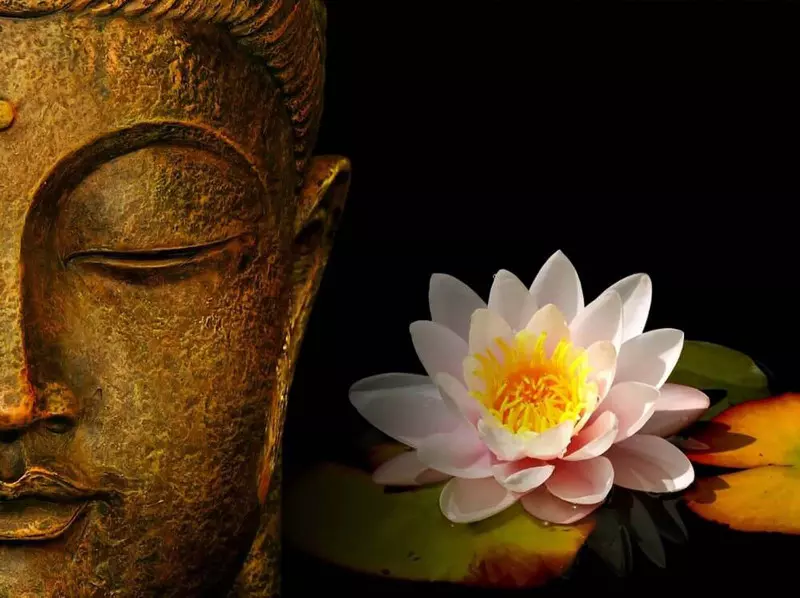 Những ý nghĩa của hoa Sen trong Phật giáo mà có thể bạn chưa biết