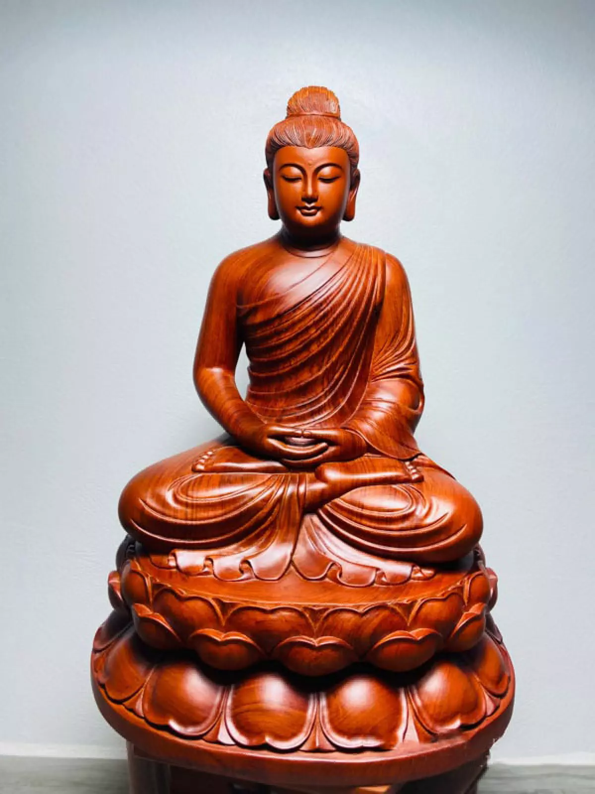 Phật Thích Ca xuất thân là Hoàng Tử