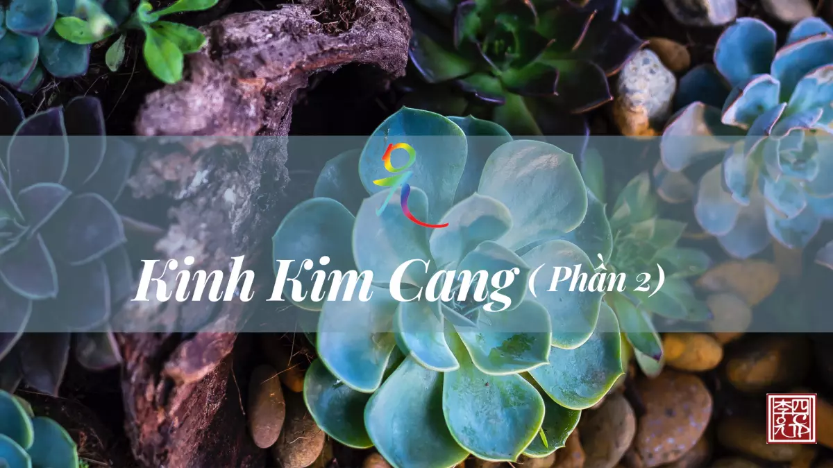 Kinh Kim Cang - Tâm Tông - Phần 2 | Lý Gia