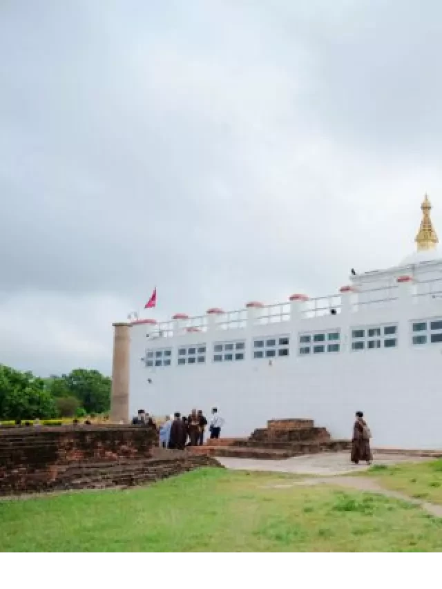   Chuyện Thời Đức Phật : Phật ra đời vì một nhân duyên lớn: “ Khai thị chúng sinh ngộ nhập Phật tri kiến”.