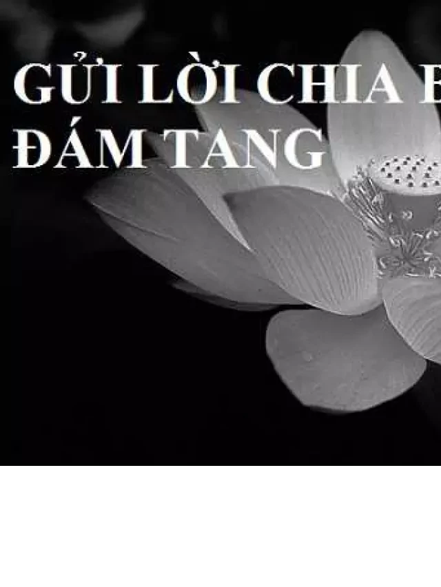   Những lời chia buồn đáng nhớ tại lễ tang