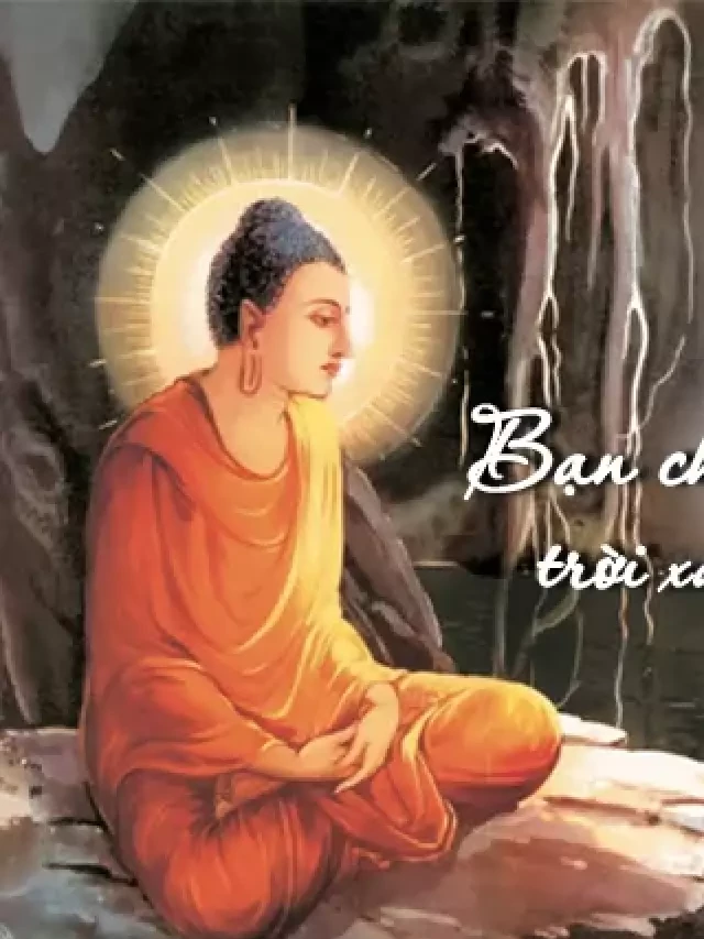   Những câu nói hay của Phật giúp bạn tìm lại sự an yên và yêu cuộc sống