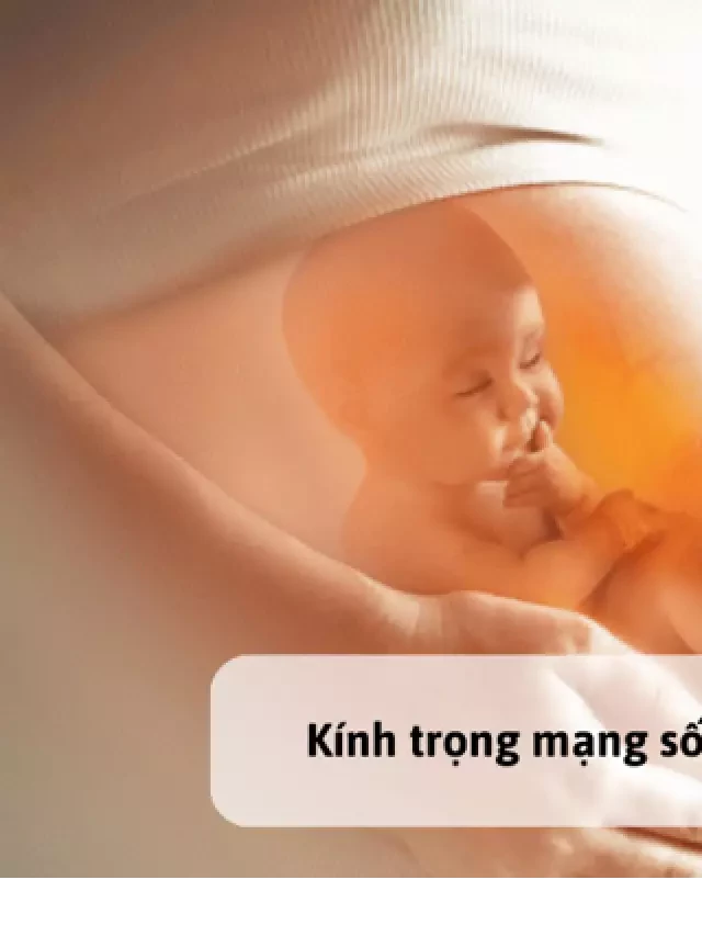   Ý nghĩa và giá trị tâm linh của Kinh sám hối thai nhi như thế nào?