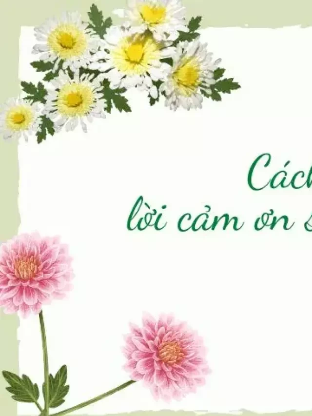   Cách viết và 15 mẫu lời cảm ơn sau đám tang hay và ý nghĩa nhất