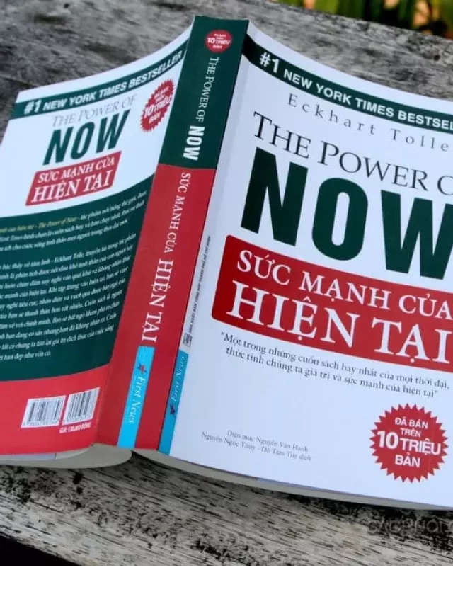   Sách Nói Sức Mạnh Của Hiện Tại – Eckhart Tolle: Dẫn Dắt Bạn Trở Lại Với Chính Mình