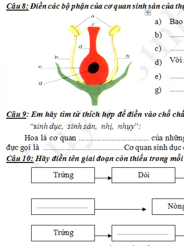   Đề thi khoa học kỳ 2 lớp 5 - Trường Tiểu học Trần Thới 2