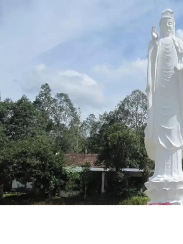   Cảm xúc về Khóa thiền Vipassana-chùa Hồng Trung Sơn | Pháp Đăng Thiền Tuệ