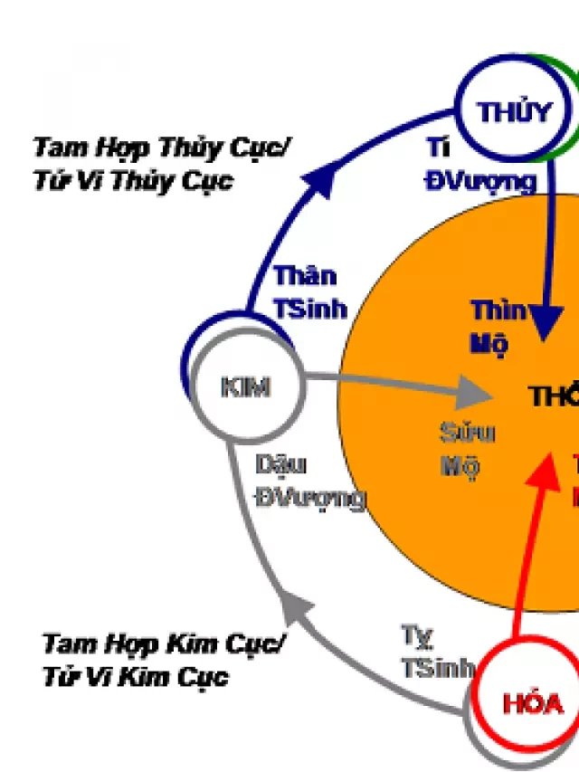   4 Tam Hợp Cục Trên Lá Số Tử Vi: Những Bí Ẩn Về Tương Hợp Trong Tử Vi