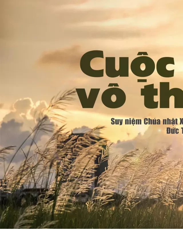   Cuộc sống vô thường: Tìm kiếm hạnh phúc vĩnh cửu