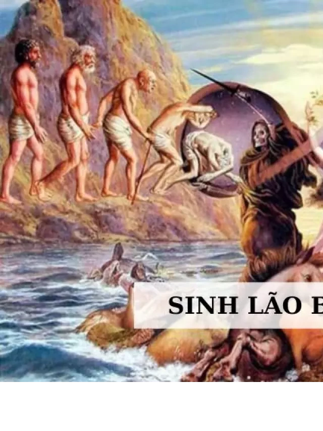   Sinh lão bệnh tử – Sự vô thường của cuộc sống