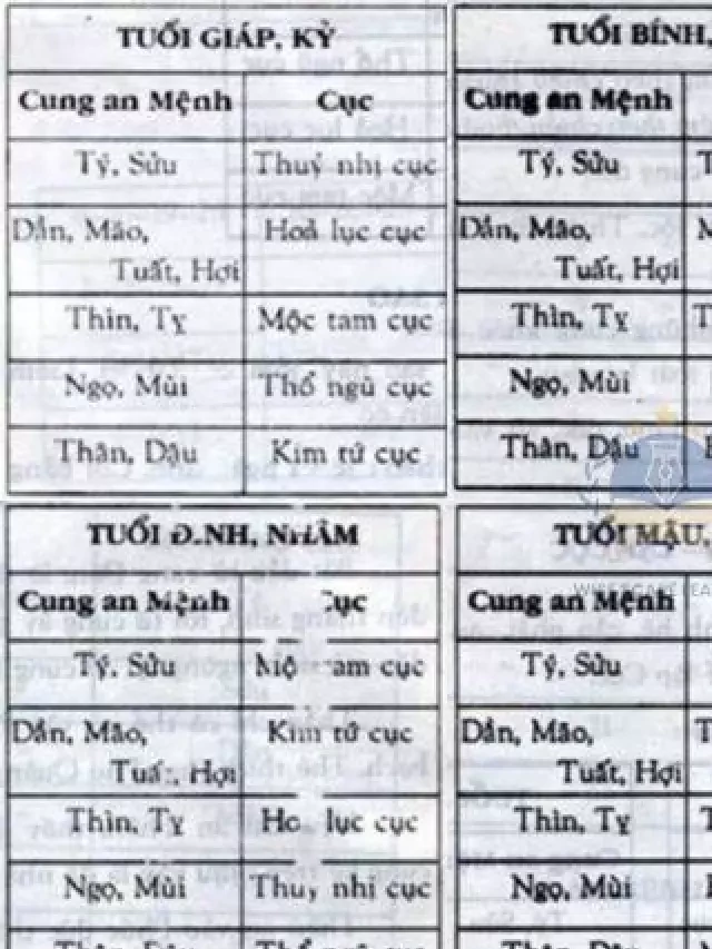   Mộc Tam Cục - Khám phá ý nghĩa và cách áp dụng trong cuộc sống