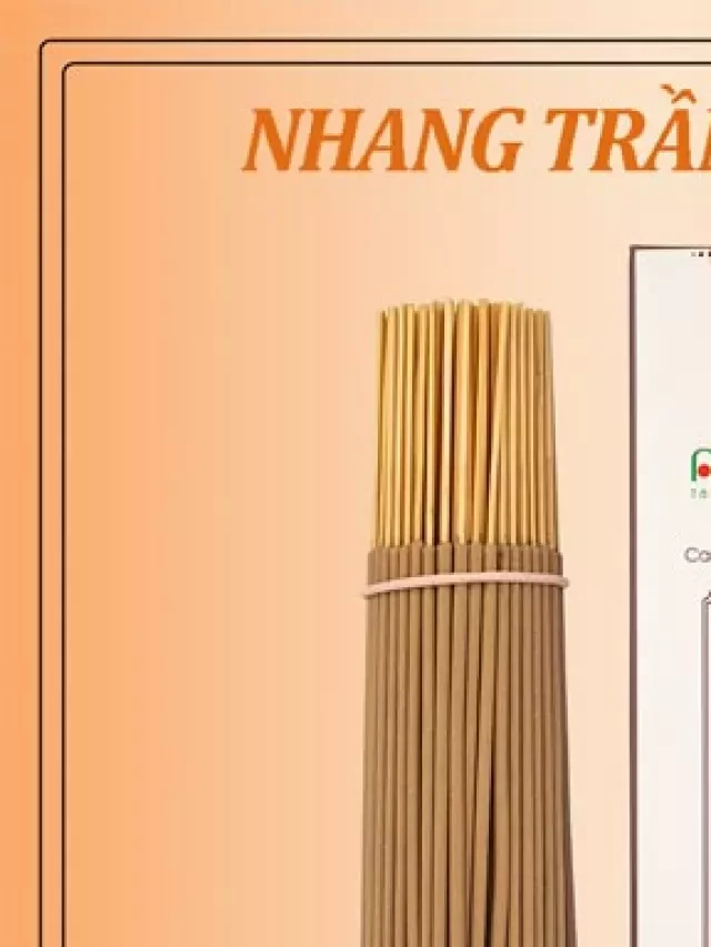   Nhang Trầm Hương Sạch: Khi Hương Thơm Gắn Liền Với Tâm Linh