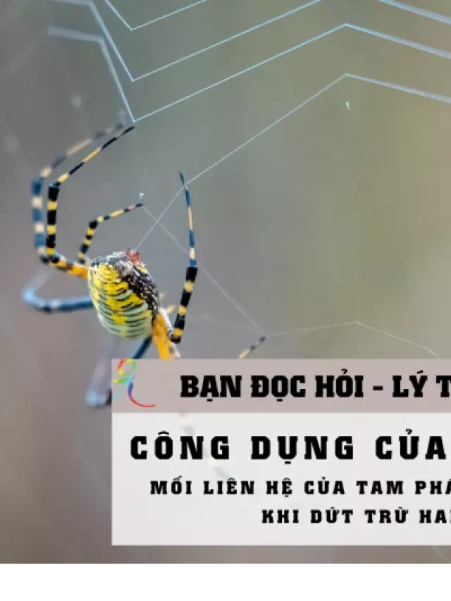   Tam Pháp Ấn | Lý Tứ