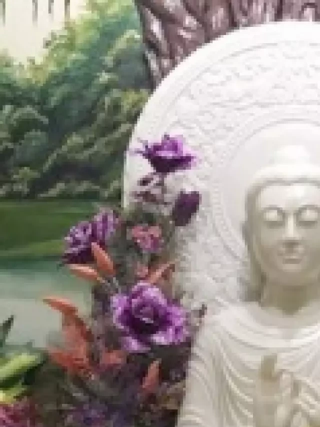   Ý nghĩa thủ ấn Phật – Buddha mudrā