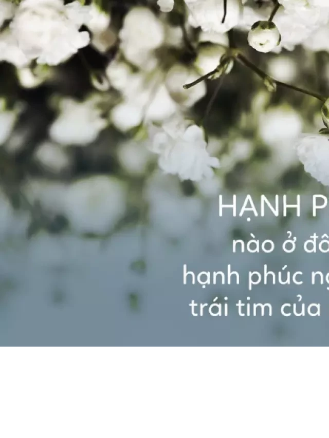   Hạnh phúc: Chìa khóa tìm đến sự thăng hoa trong cuộc sống