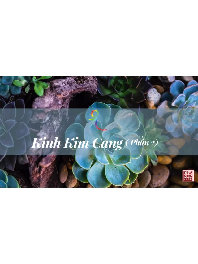   Kinh Kim Cang - Tâm Tông - Phần 2 | Lý Gia