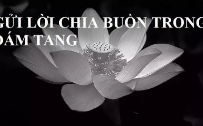   Những lời chia buồn đáng nhớ tại lễ tang